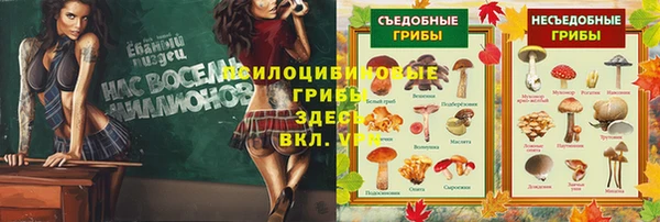 прущая мука Ладушкин